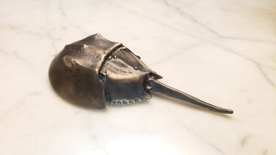 Horseshoe Crab Bottle Opener Antique German Silver