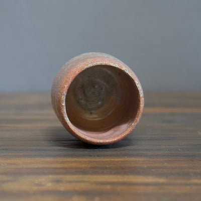 RAKU YUNOMI Tea Cup #AT15B