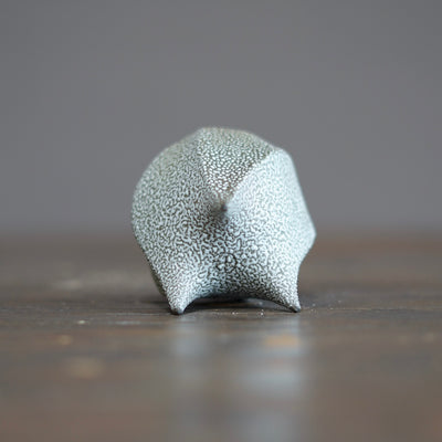 SORIN GUINOMI Sake Cup #NMS91