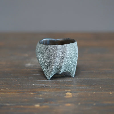 SORIN Tea Cup #NMS92A