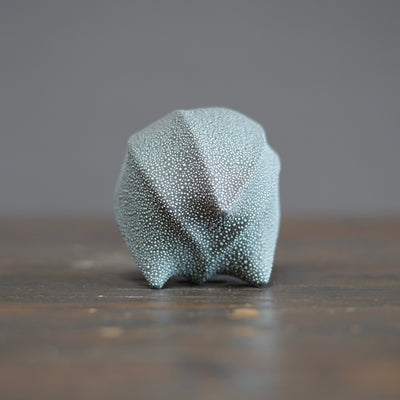 SORIN Tea Cup #NMS92A