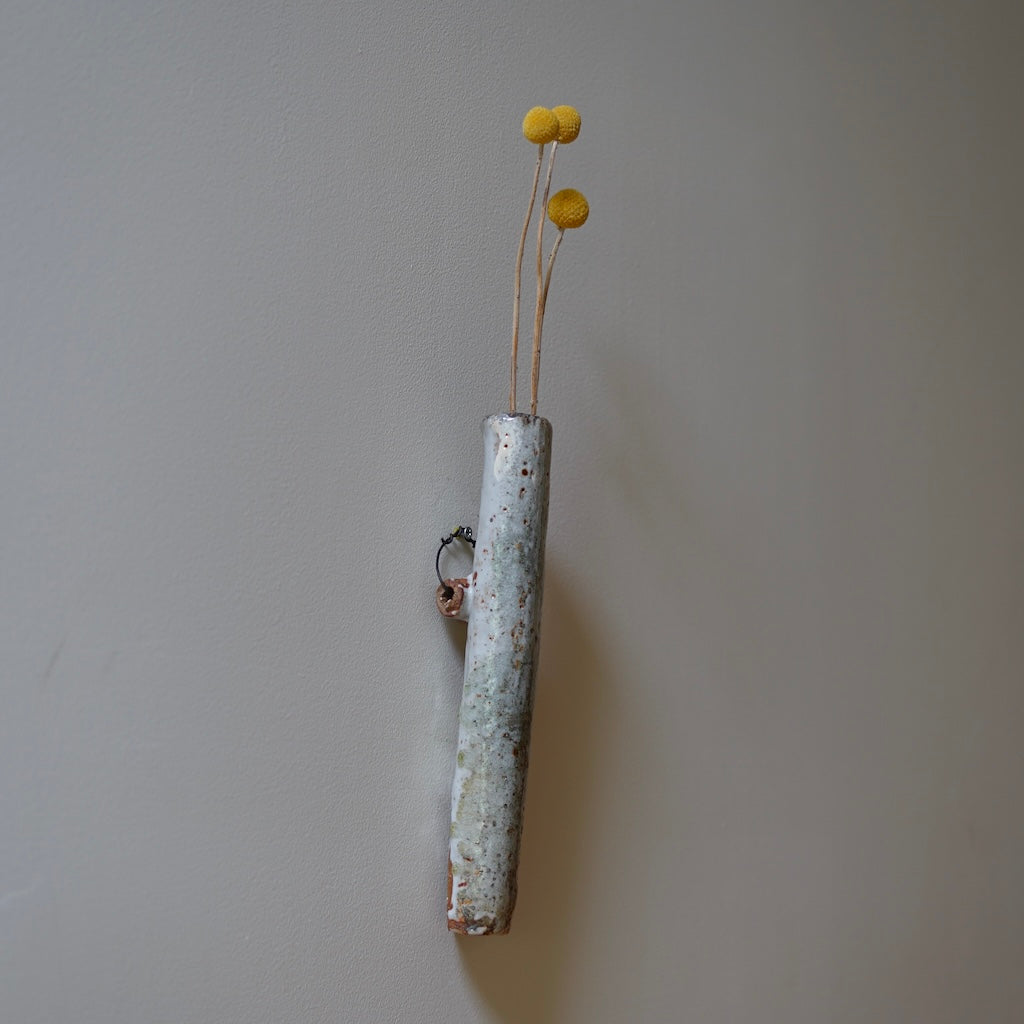 Medium Hanging Flower Vase #FQ699C