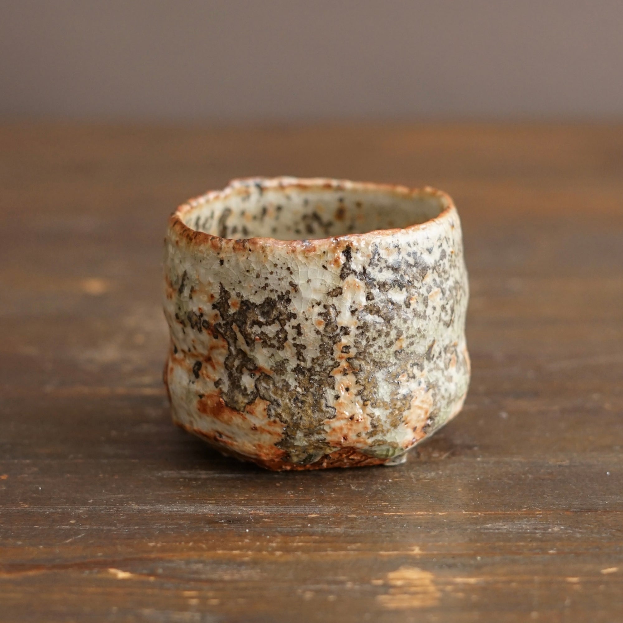 Wood Fired YUNOMI Tea Cup #FQ767C
