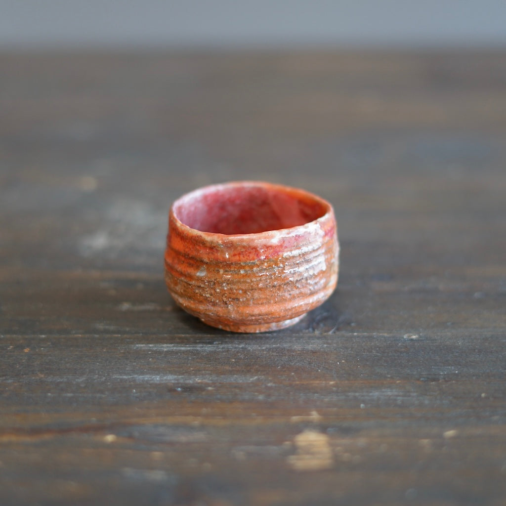 GUINOMI Sake Cup #REN21