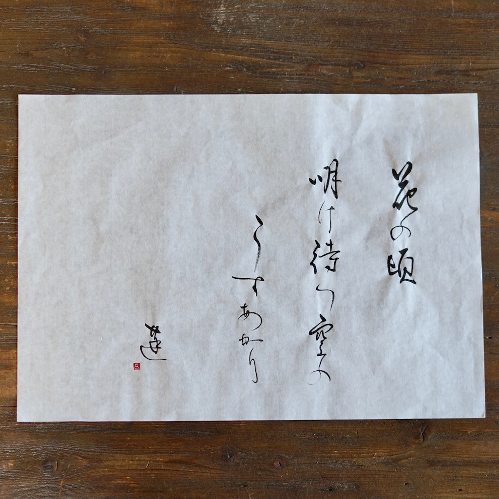 "Spring Dawn" Tea Ceremony Bowl #REN12