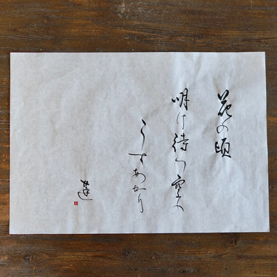 "Spring Dawn" Tea Ceremony Bowl #REN12