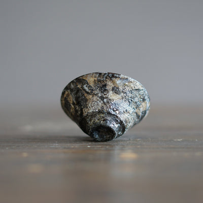 GYOKKAKU RAKU Sake Cup #AN11J