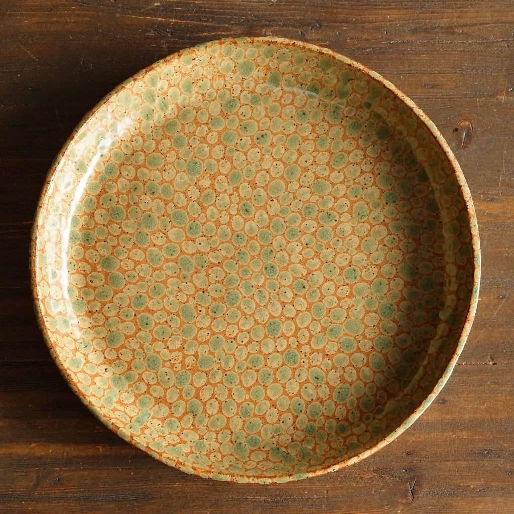 Autumn Dots Rimmed Dinner Plate #LK928