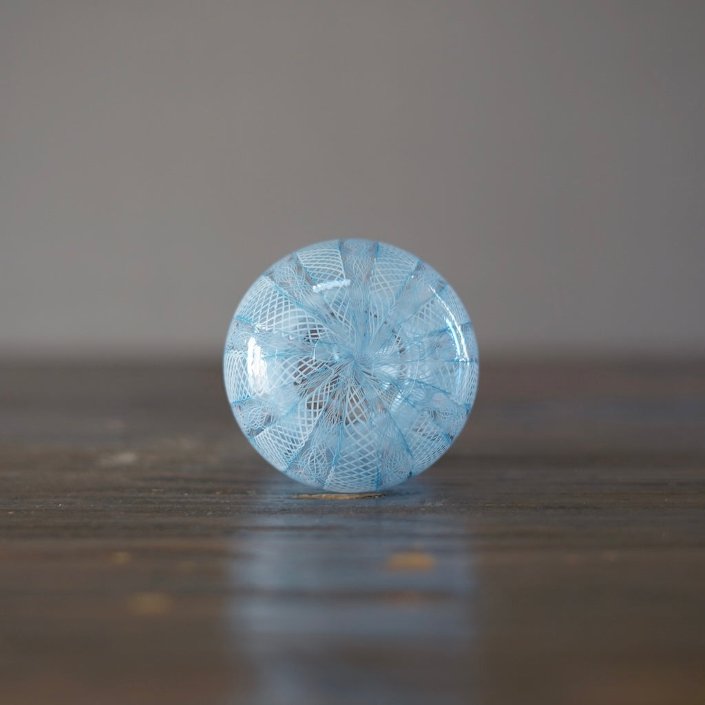 Blue Lace Glass Bottle Vase #U10B