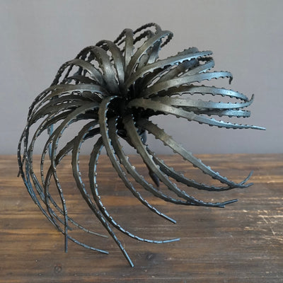 Dyckia Iron Sculpture #UDN10A