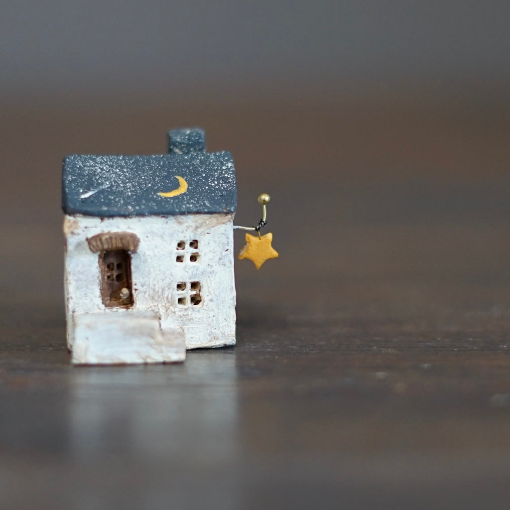 Chibi Stargazer's House #CS12