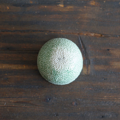 Turquoise Caviar Small Cup #LK863F