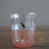 "Memories of Sumire" Lace Glass Tumbler #U2C