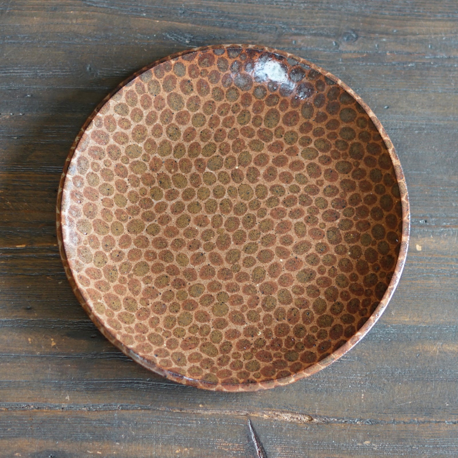 Brown Dots Medium Plate #LK833E