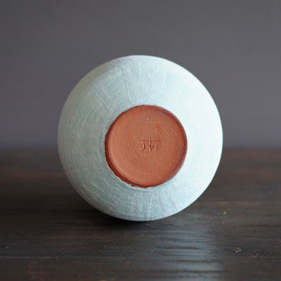 Robin's Egg / Orange Dino Vase #JT387B