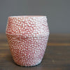 Coral Caviar Cup #LK778B