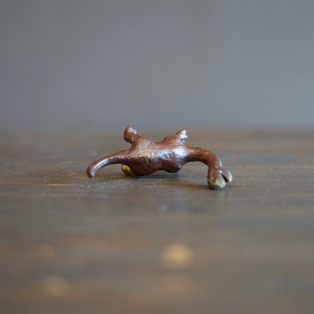 Restored Apatosaurus #SY672