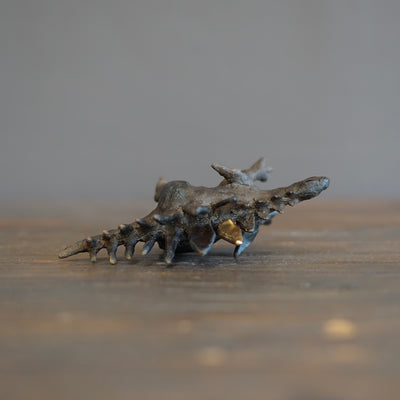 Restored Kentrosaurus #SY674