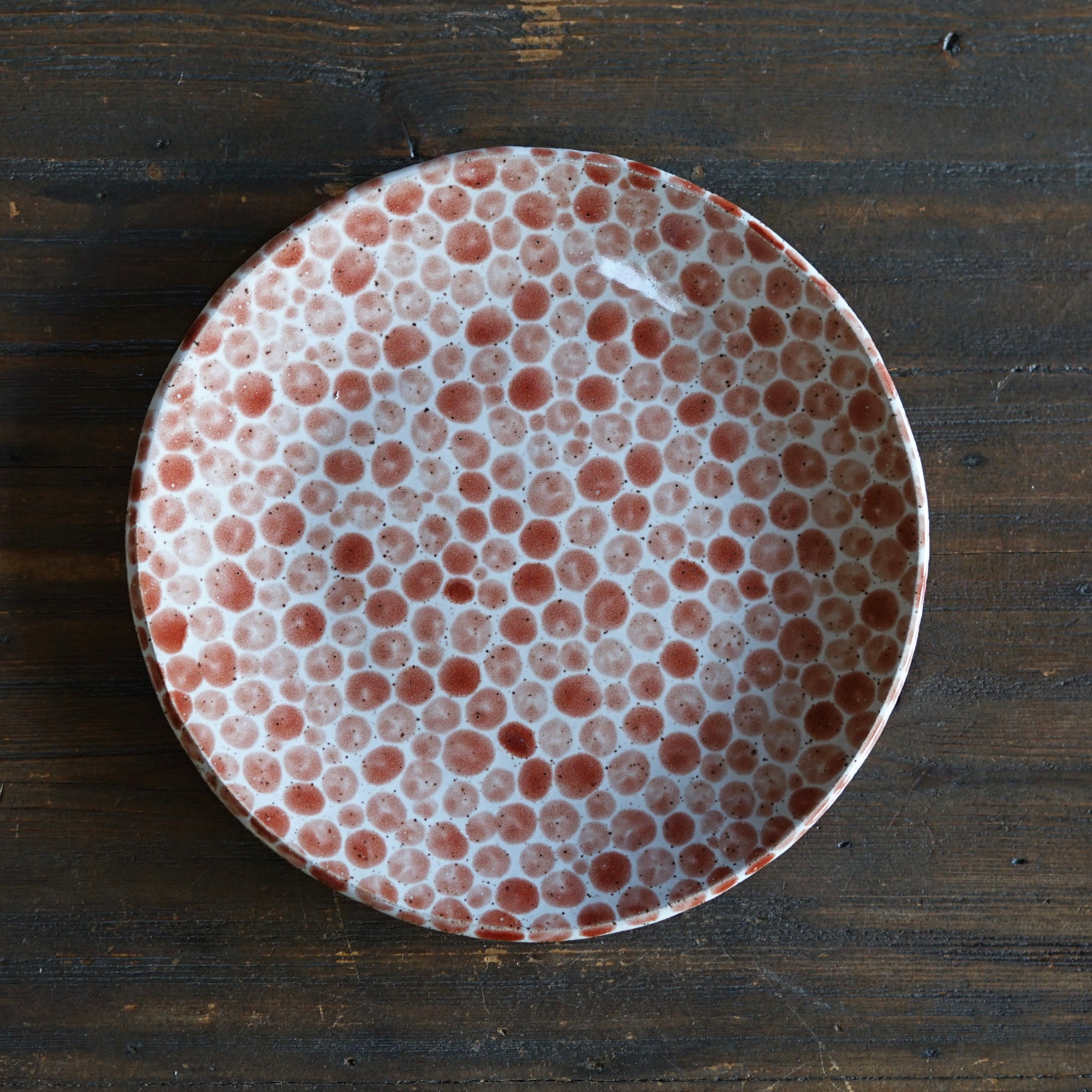 Red Dots Plate #LK890E