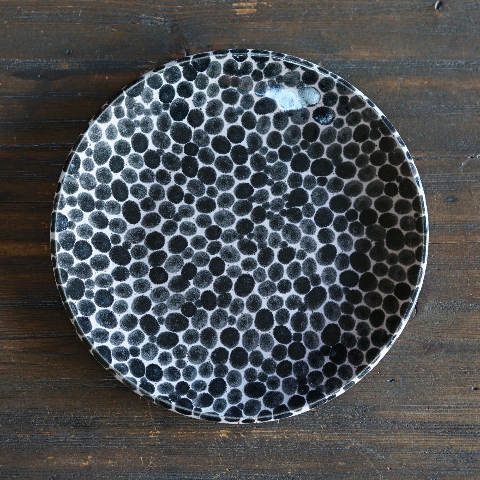 Black Dots Plate #LK890C