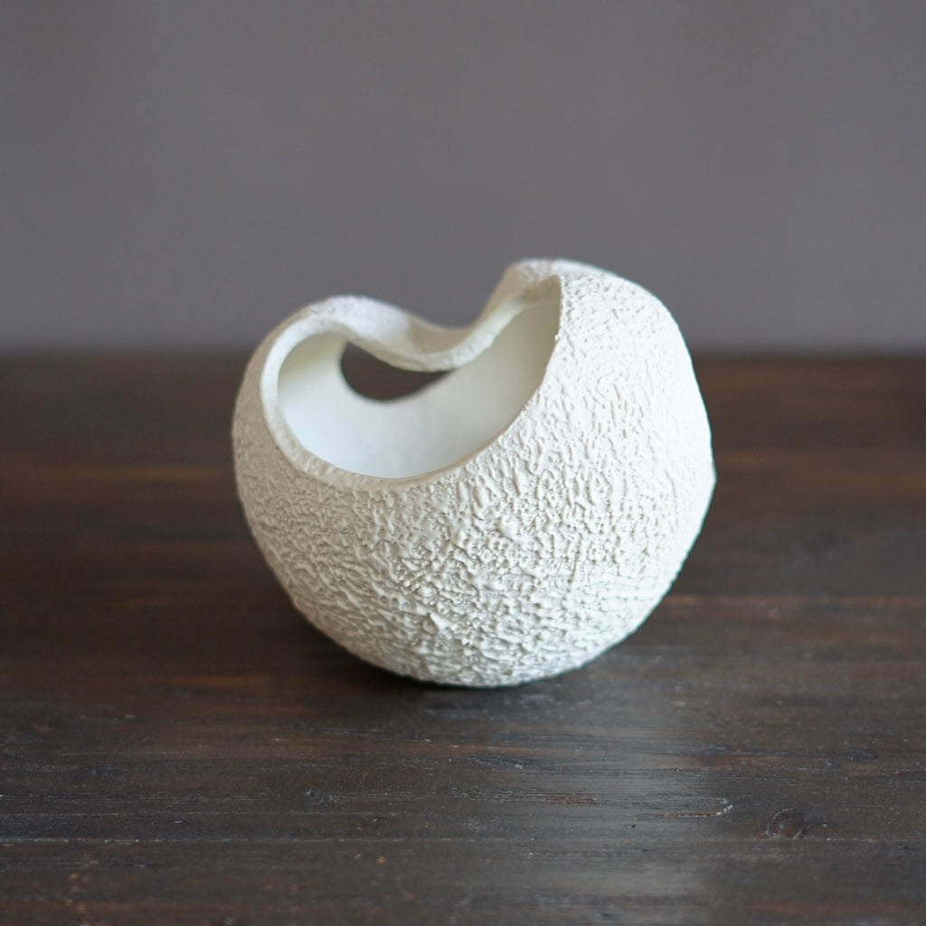 Medium Moonlight White #KY94