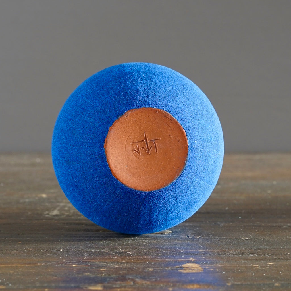 Blue / Red Small Dino Vase #JT435A