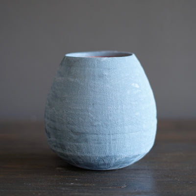 Light Blue / Red Dino Vase #JT407C