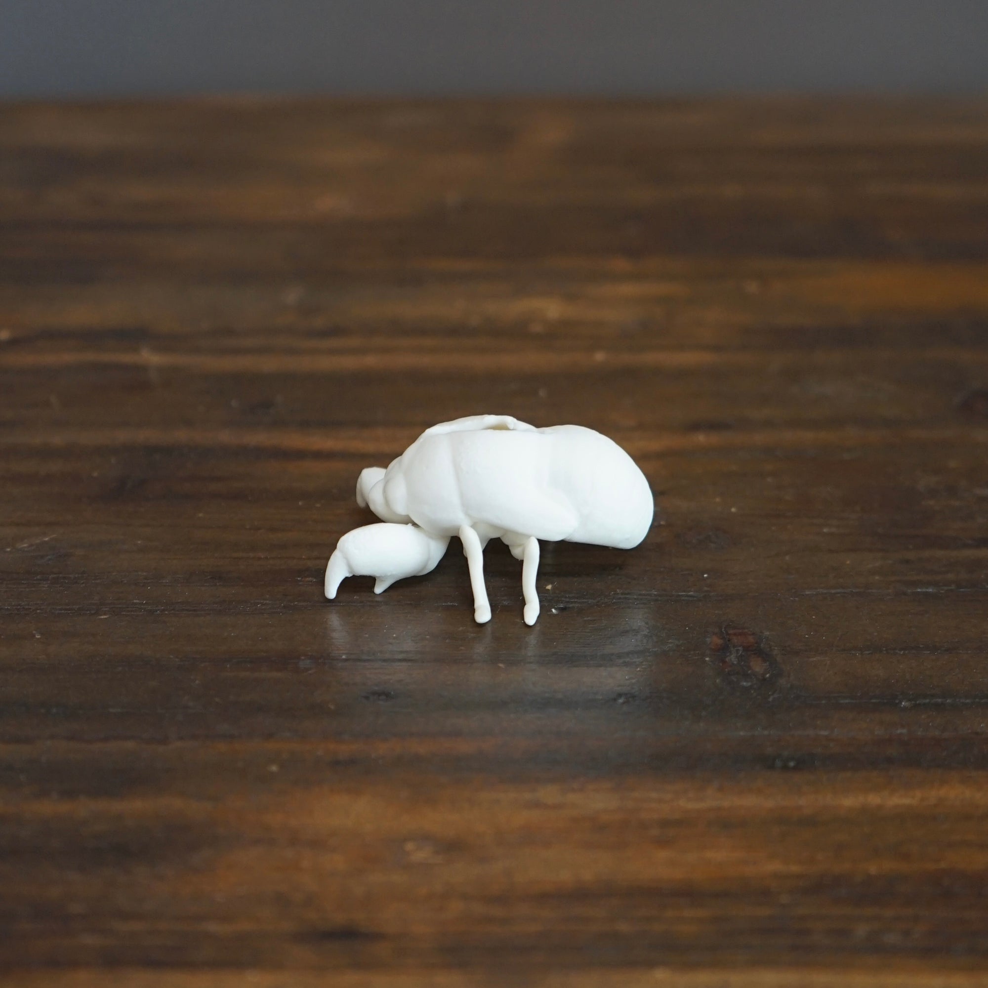 Porcelain Cicada #NK114A