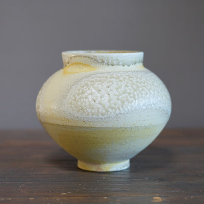 Jar Flower Vase #LR48B