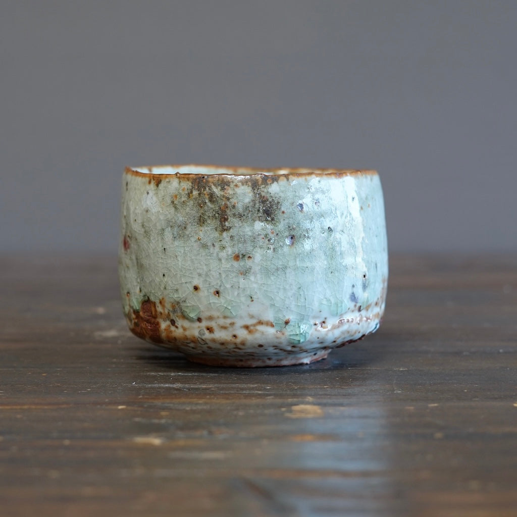 Wood Fired Tea Bowl #FQ741B