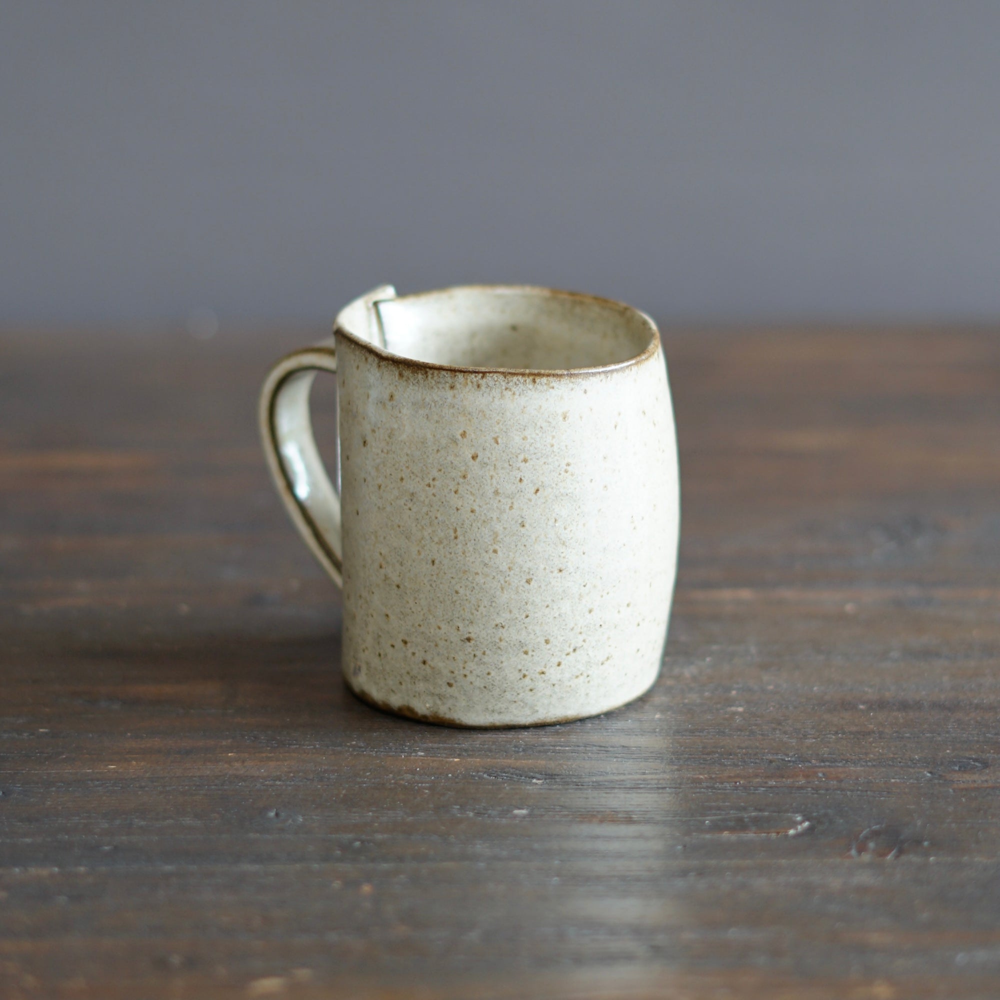 Wraps Regular Mug #R-f