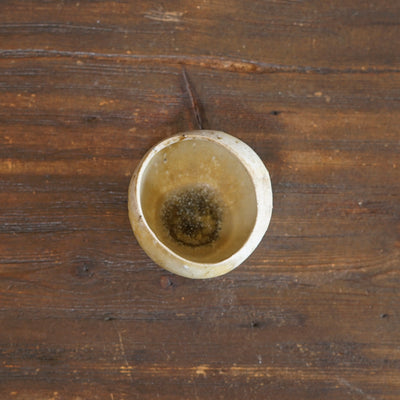 Tea Cup #ZP1750