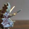 Restored Triceratops #SY680
