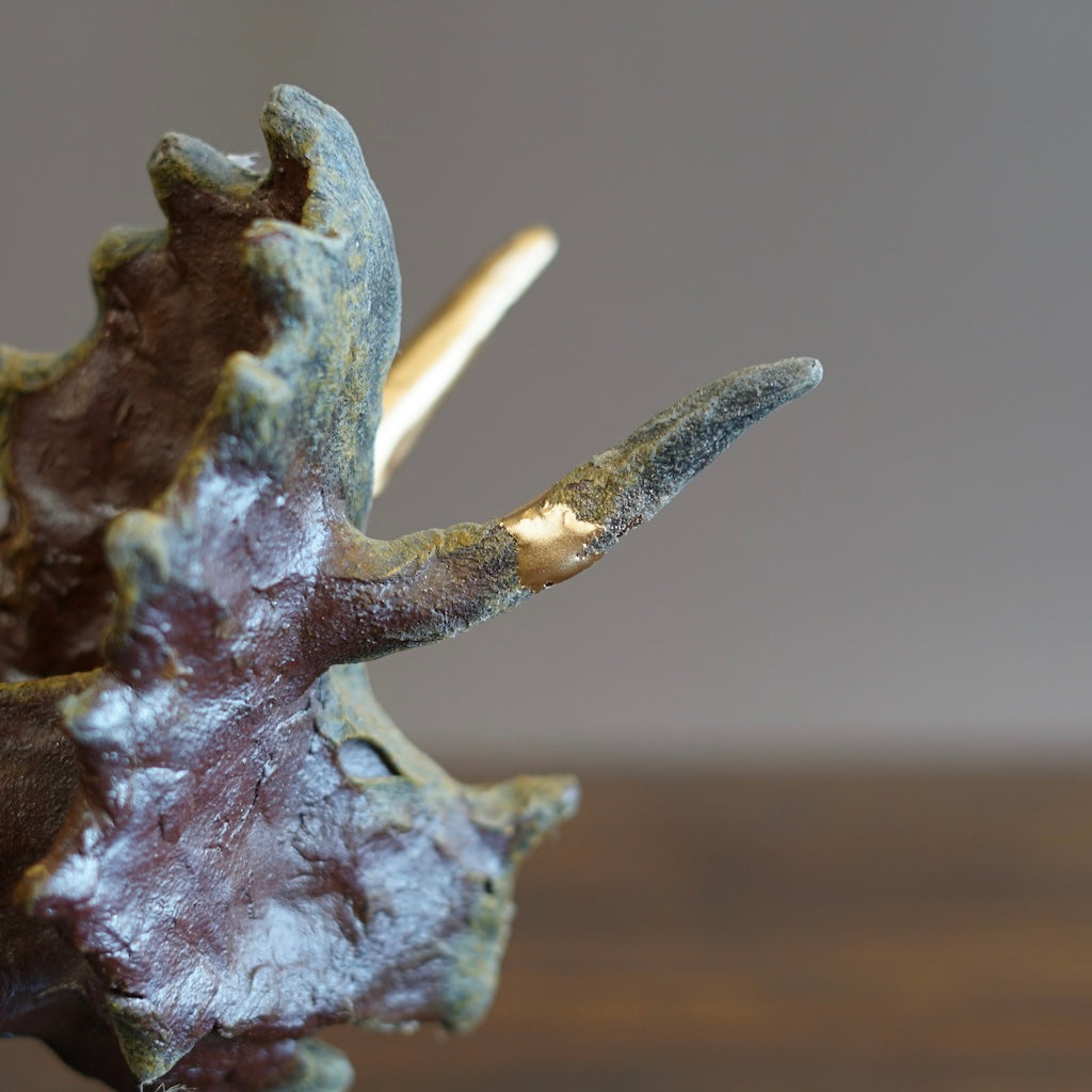 Restored Triceratops #SY680