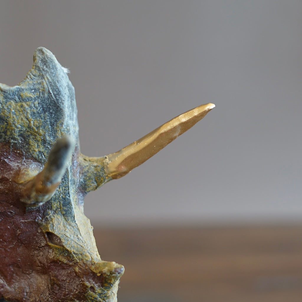 Restored Triceratops #SY680