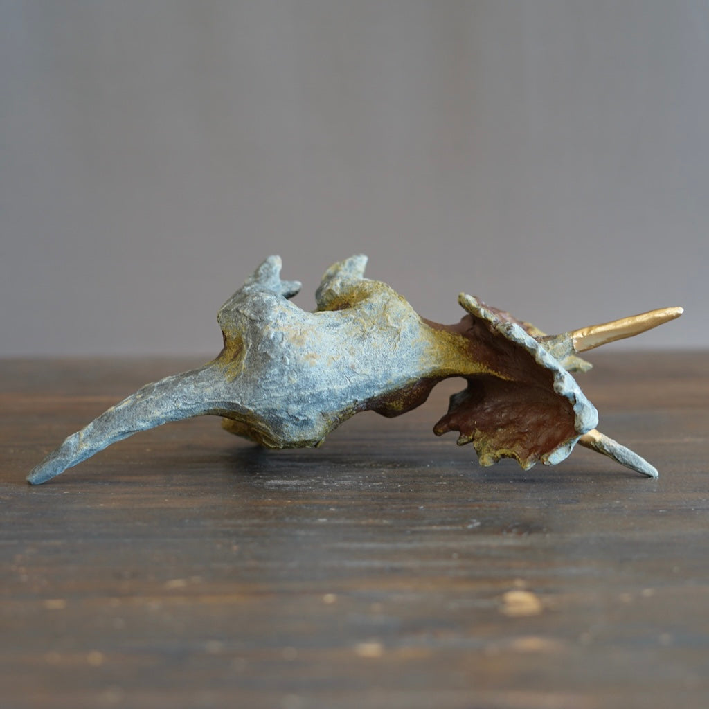 Restored Triceratops #SY680