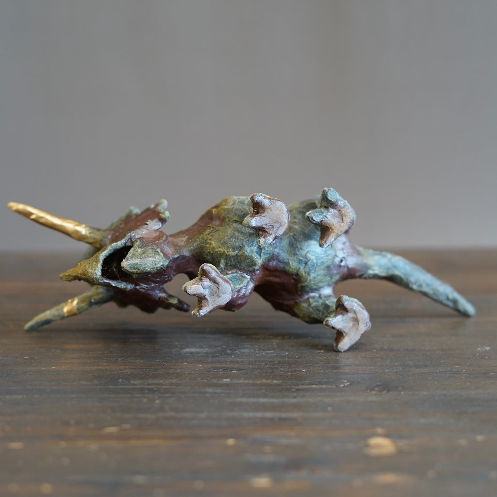 Restored Triceratops #SY680