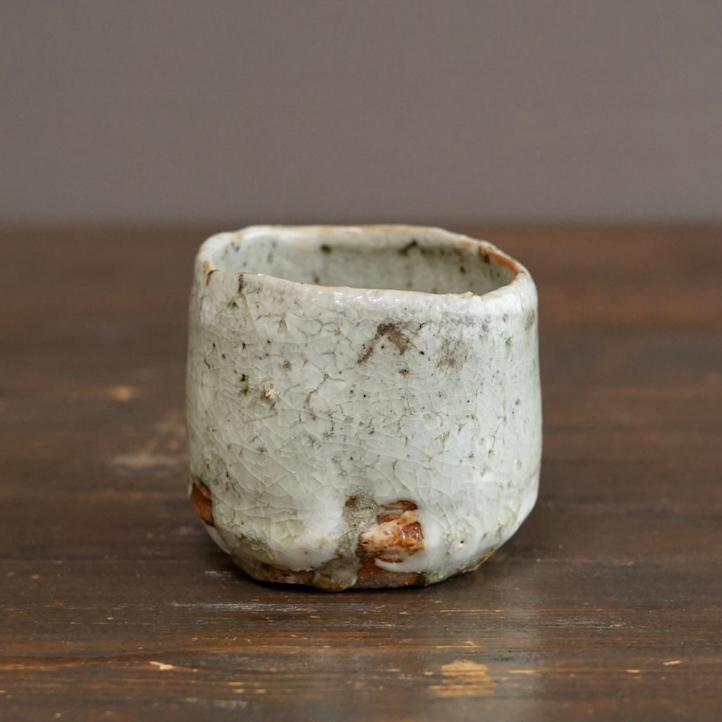 Wood Fired YUNOMI Tea Cup #FQ755F