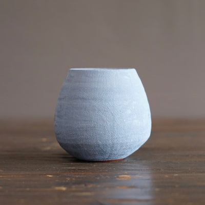 Robin's Egg / Red Small Dino Vase #JT442J