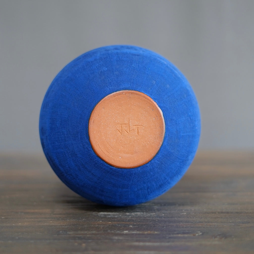 Blue / Yellow Dino Vase #JT408A