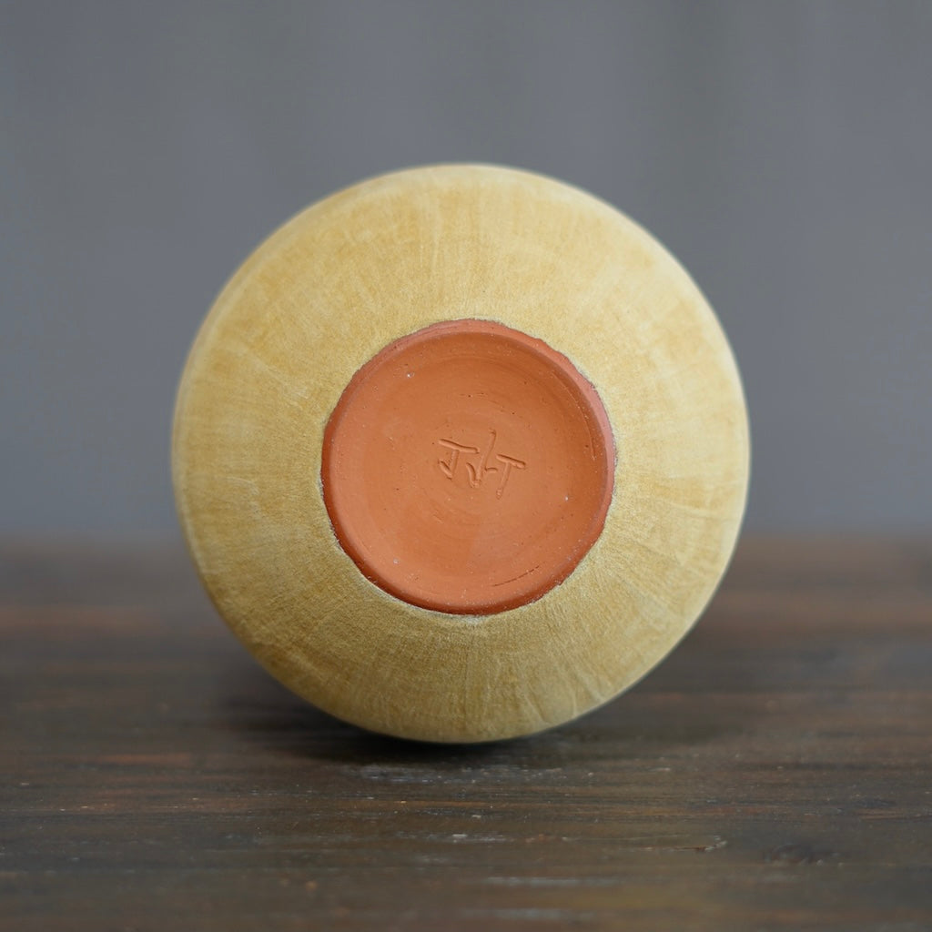 Yellow / Yellow Dino Vase #JT408C