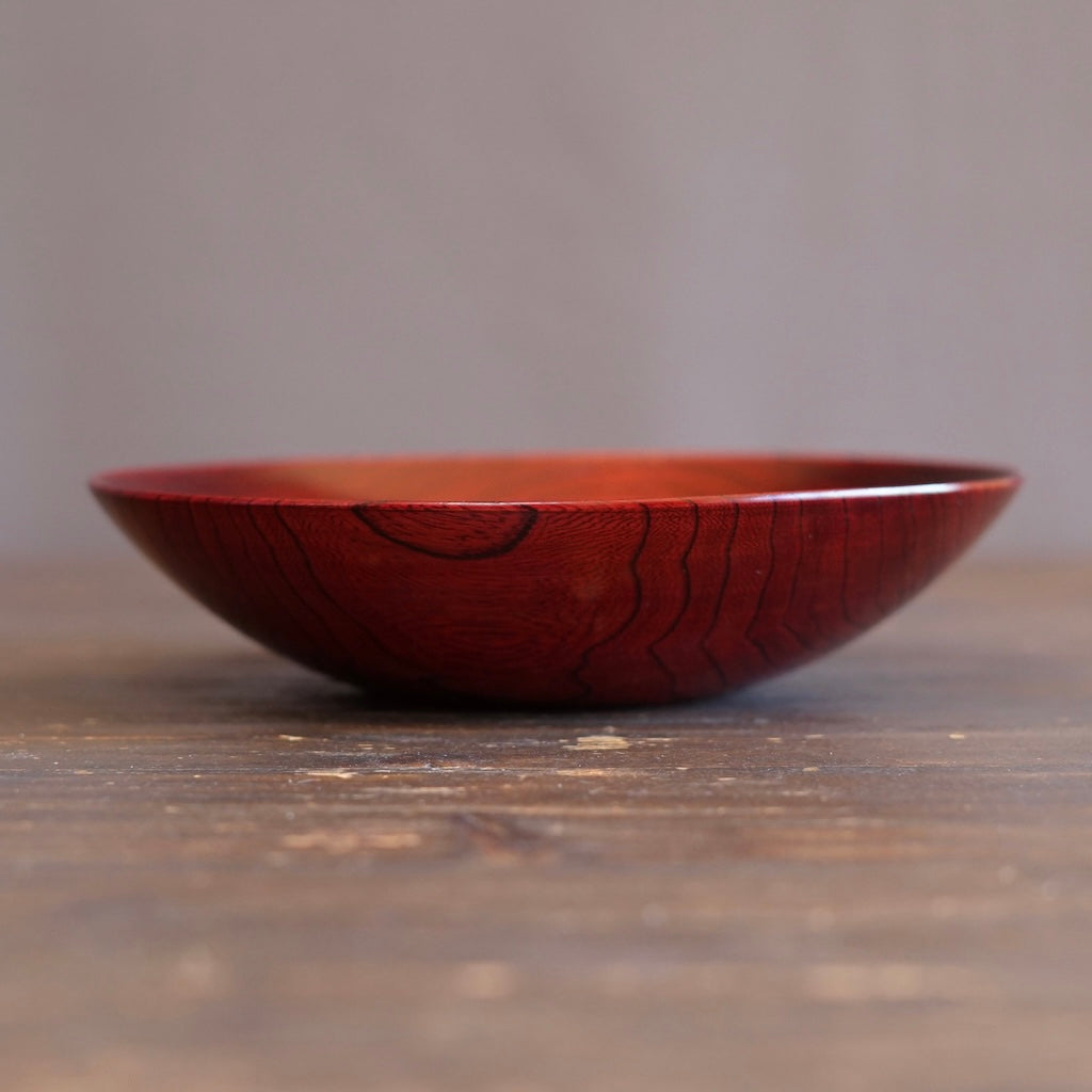 Red Japanese Zelkova Lacquer Shallow Bowl #G4711A