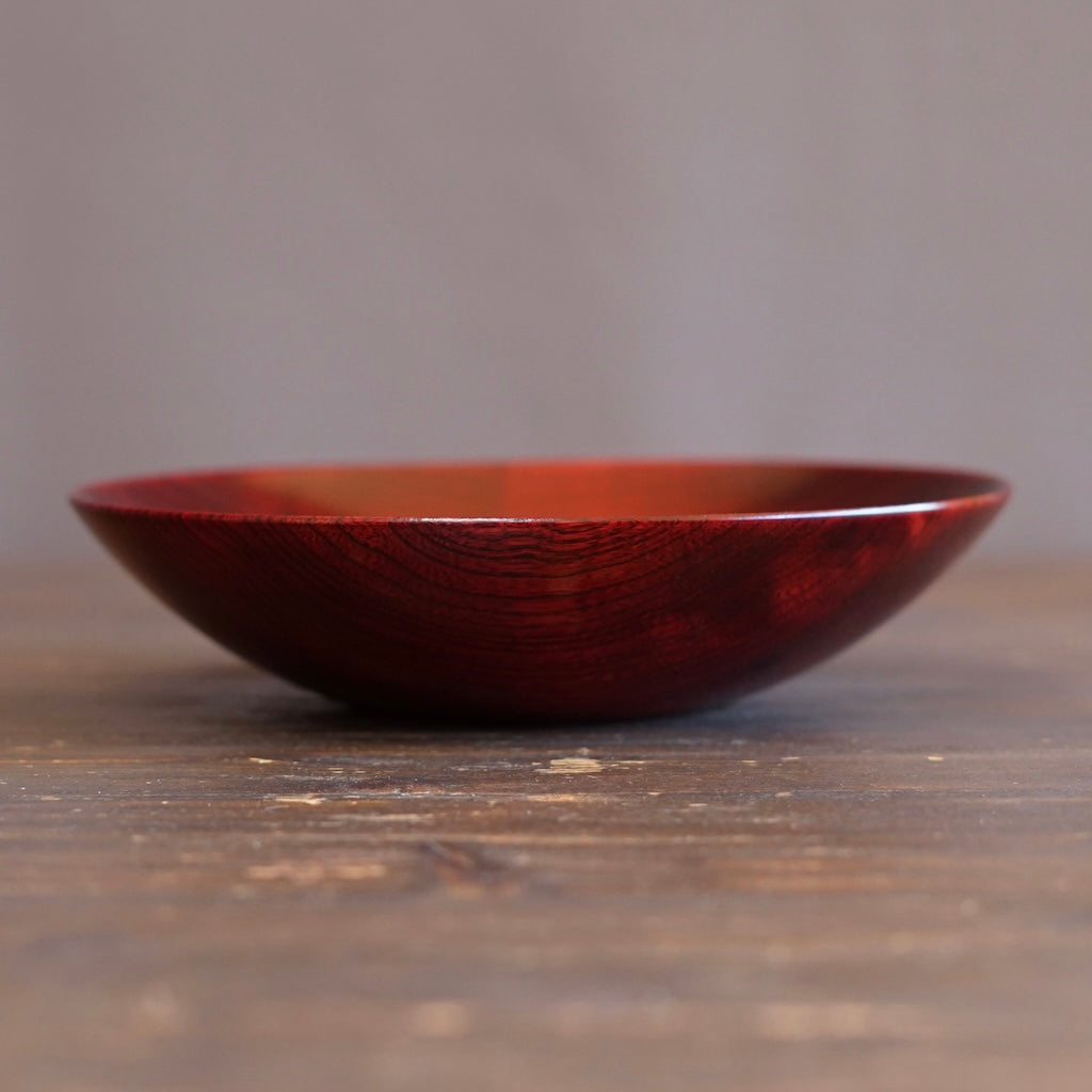 Red Japanese Zelkova Lacquer Shallow Bowl #G4711D