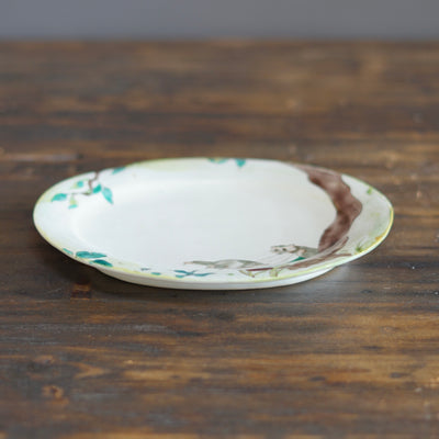 Scavenging Raccoon Oval Plate #MA120C