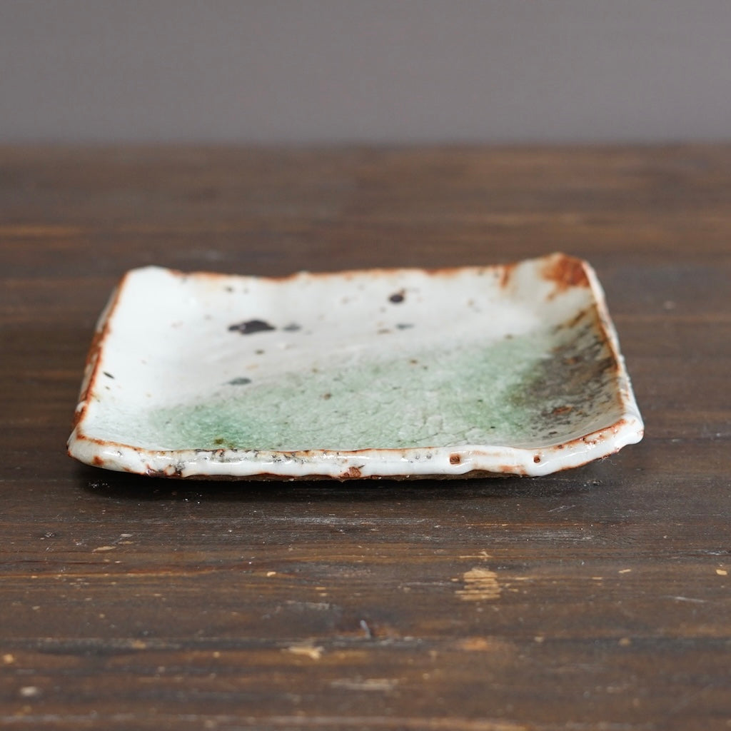 Dinner Plate #FQ748E