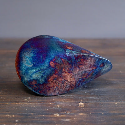 Galaxy Shell Medium #KY112