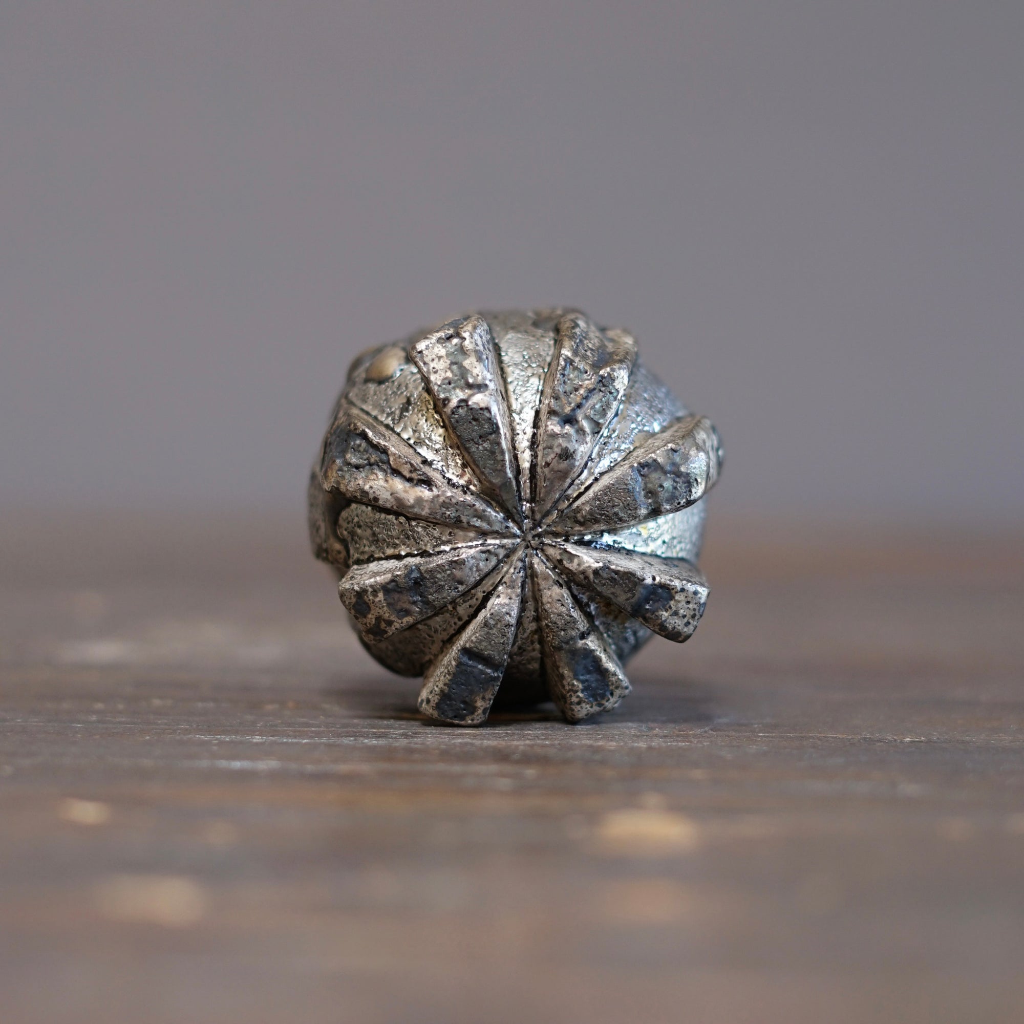 Silver GUIINOMI Sake Cup #HT520