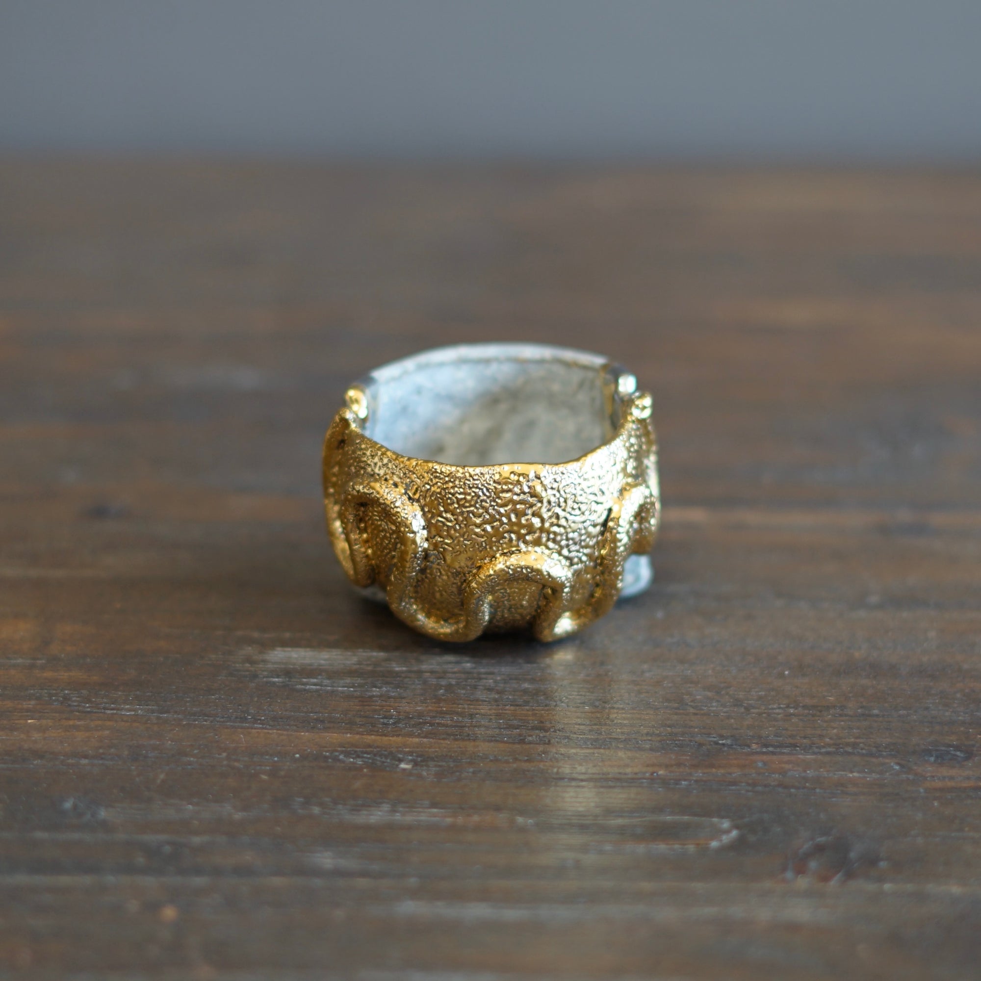 Gilded Snake GUINOMI Sake Cup #HT448