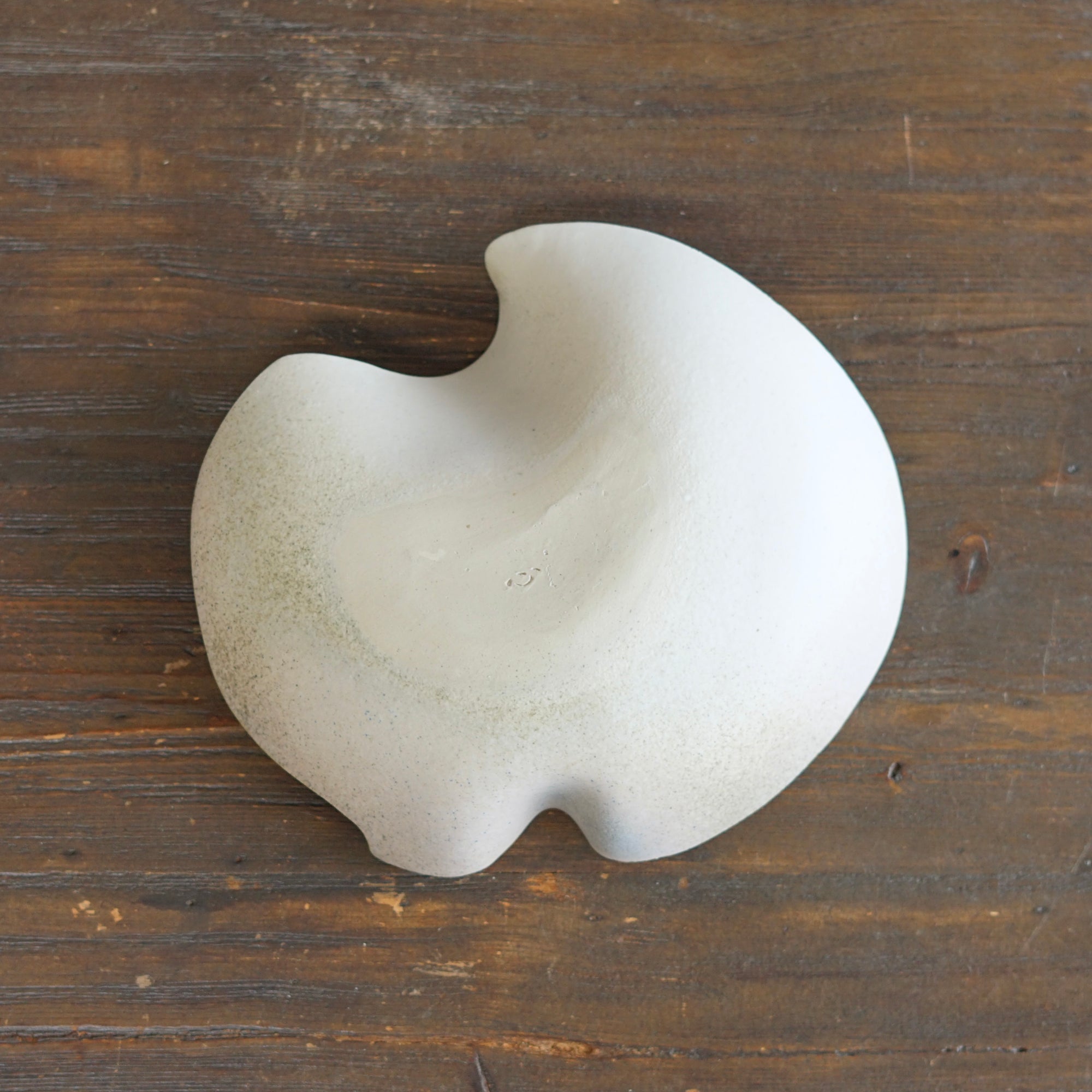 Sea Foam Wave Plate Small #KY121A
