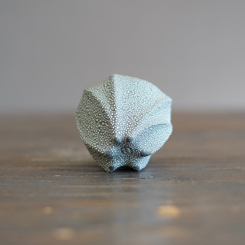 SORIN GUINOMI Sake Cup #NMS81